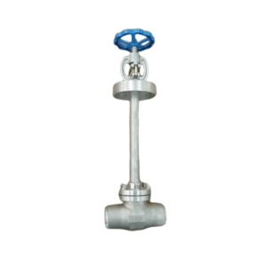 Cold-Insulated Globe Valve